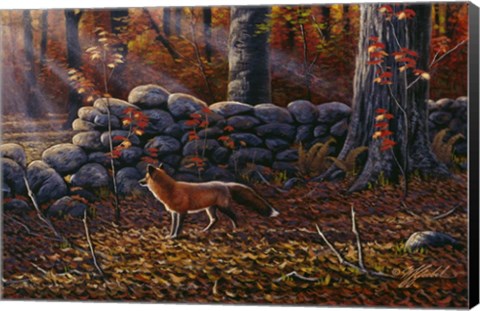 Framed Autumn Reds - Red Fox Print