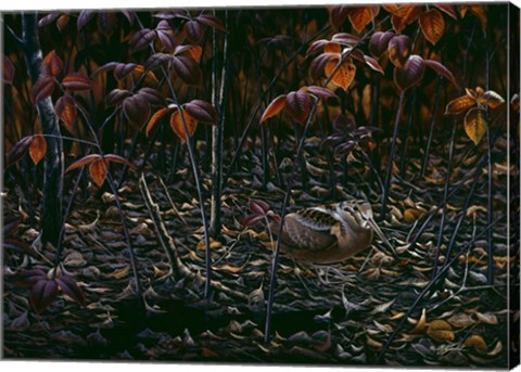 Framed Woodcocks World Print