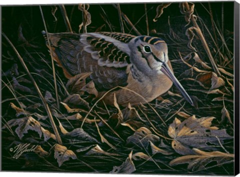 Framed Timberdoodle Print