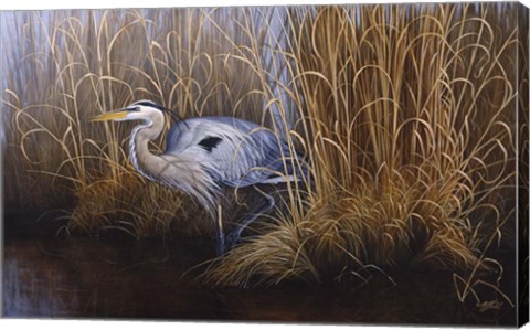 Framed Set In Gold - Great Blue Heron Print