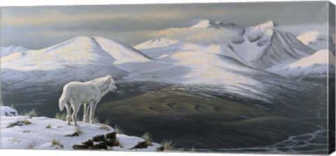 Framed Vantage Point Print