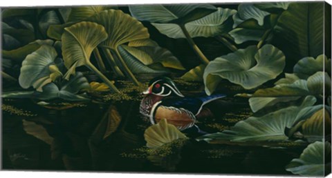 Framed Quiet Times Print