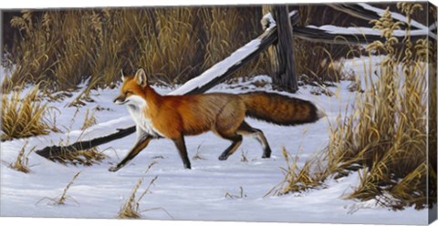 Framed Fox Trot  - Red Fox Print