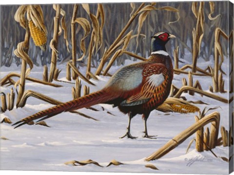 Framed Corn Row Ringneck Print