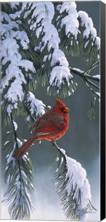 Framed Winter Light 1 Print