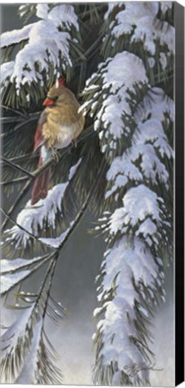 Framed Winter Light 2 Print