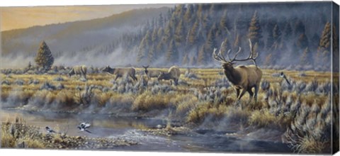 Framed Autumn Classic - Elk Print