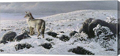 Framed Open Country - Coyote Print