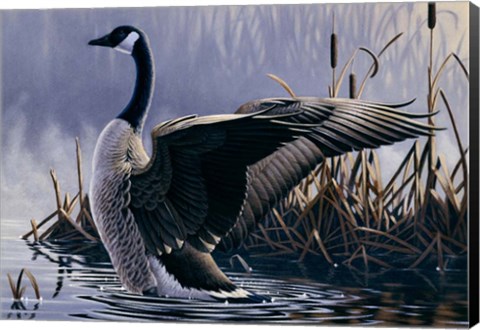 Framed 1992 Canada Goose Print