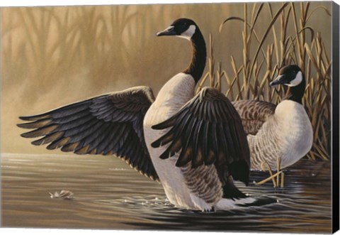 Framed 1994 Canada Geese Print
