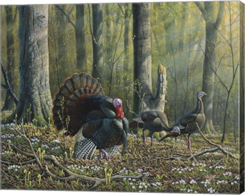 Framed Spring Beauties Print