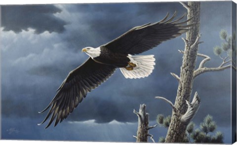 Framed Soaring Wings Print