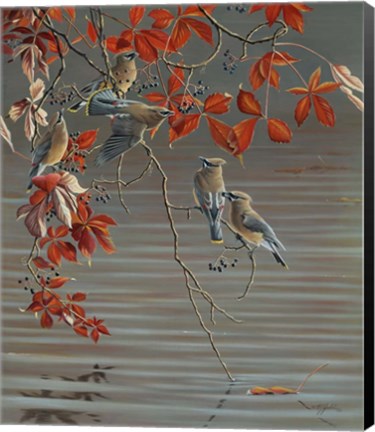 Framed Autumn Harvest - Cedar Waxwing Print