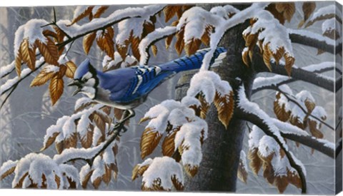 Framed Changing Season Print