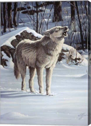 Framed Message For The Wind - Wolf Print