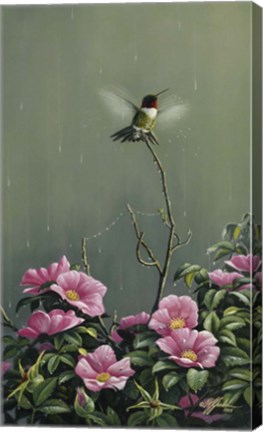 Framed Rain Dance Print