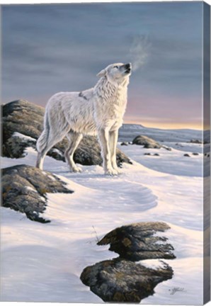 Framed Artic Song Print