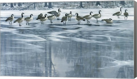 Framed Midwinter Thaw Print