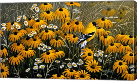 Framed Summer Gold Print