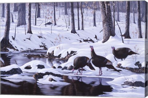 Framed Hardwood Creek - Wild Turkeys Print