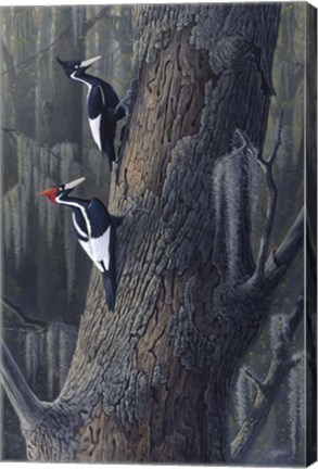 Framed Legends Of The Pearl Print