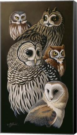Framed Eyes Of The Night - Owls Print