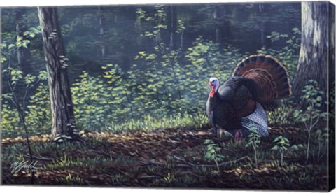 Framed June Strut Print