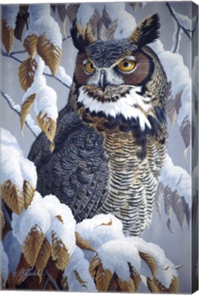 Framed Winter Watch - Great Horned Owl Print
