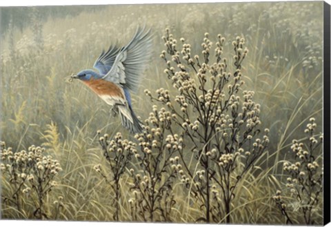 Framed October Meadow Print