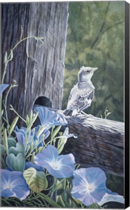 Framed Fledgling - Young Mockingbird Print
