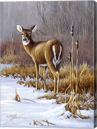 Framed On Alert Print