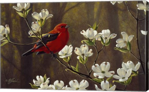 Framed Spring Light Print