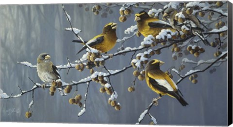 Framed Winter's Treat Print