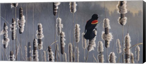 Framed Marsh Notes - Red Wing Blackbird Print