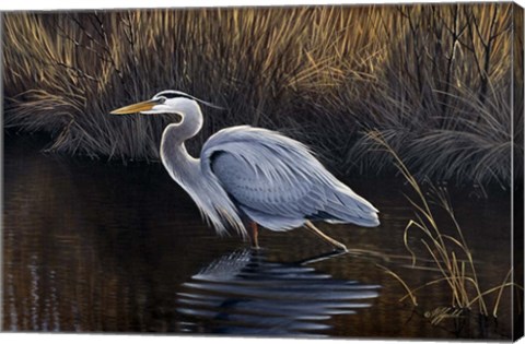 Framed Making Strides - Great Blue Heron Print