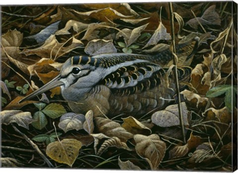 Framed Sitting Tight Print