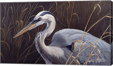 Framed Great Blue Heron Print