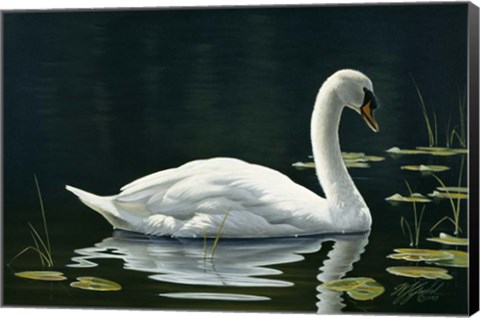 Framed Stillwater Print