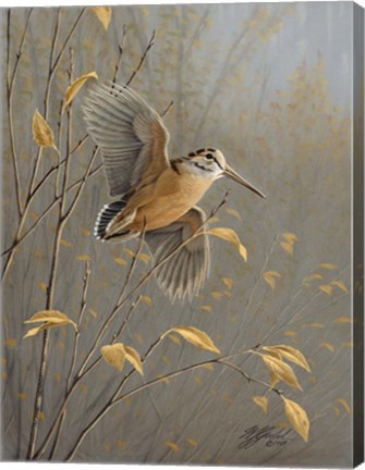 Framed Out Of Cover Print