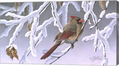 Framed Winter Lady - Cardinal Print