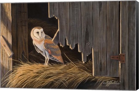 Framed Ready For The Hunt Barn Owl Print