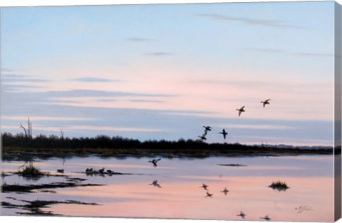 Framed Sunset March Black Ducks Print