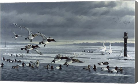 Framed Choptank Gathering Print