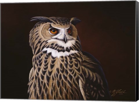 Framed Eagle Owl Print