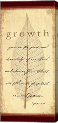 Framed 2 Peter 3v18 Print