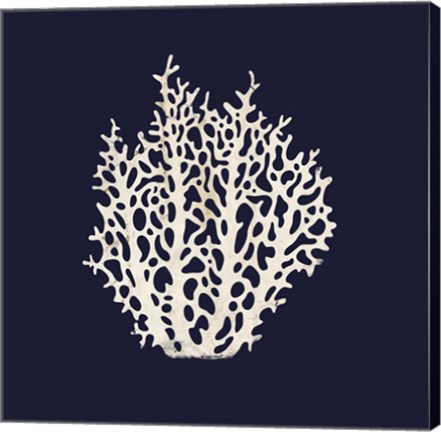 Framed Contemporary Coastal Coral Print