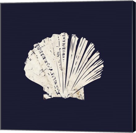 Framed Contemporary Coastal Shell I Print