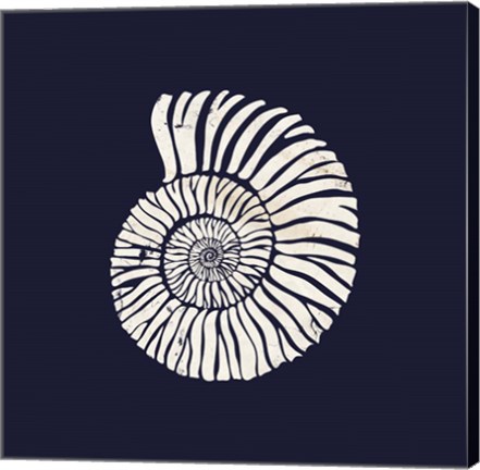 Framed Contemporary Coastal Shell II Print