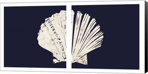 Framed Contemporary Coastal Shell Set Print