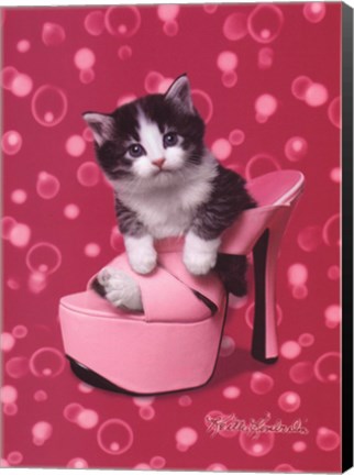 Framed Platform Kitty Print